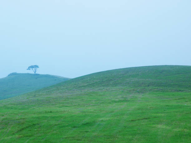 istock Summer Hokkaido landscape 1226573190