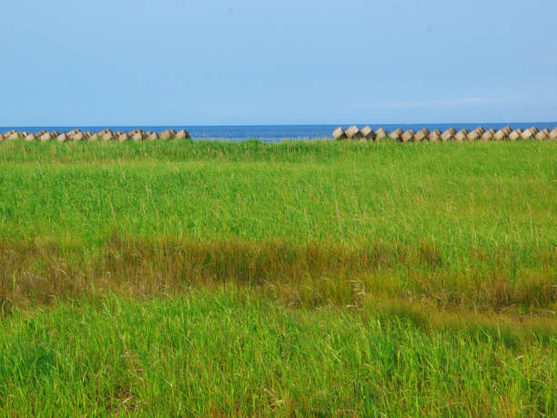 istock Summer Hokkaido landscape 1226573293