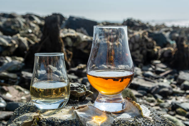 proefglas schotse whisky en kust tijdens eb, rokerige whisky die met oesters combineert - spey scotland stockfoto's en -beelden