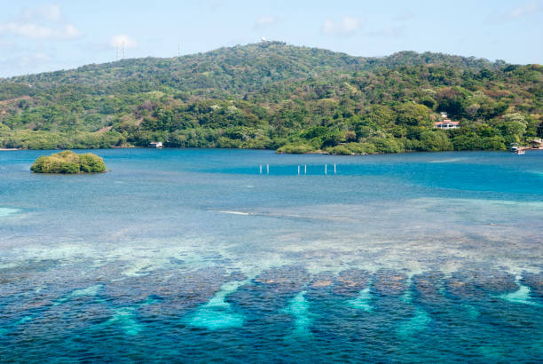 istock Roatan Island Shallow Waters 1226575361