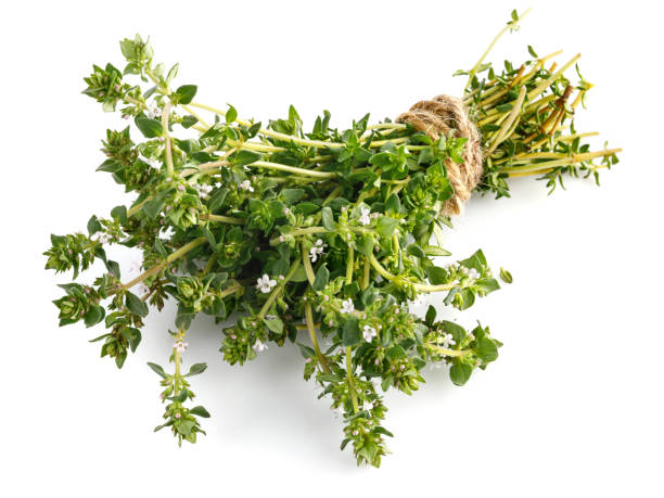 istock Bunch thyme with flowers. Fresh spicy herb. 1226576107