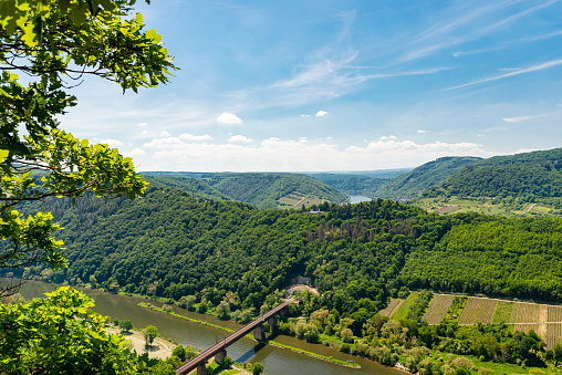 Beautiful, ripening vineyards in the spring season in western Germany, the Moselle river flowing between the hills. Visible railway bridge over the river.