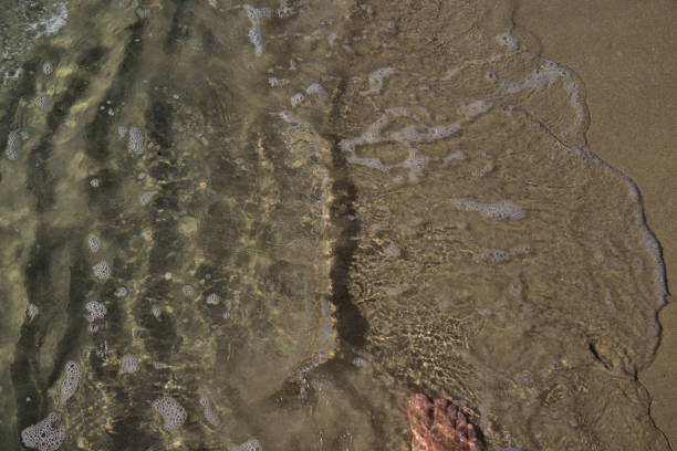 istock Graphic resource, seashore, sand and water 1226578269