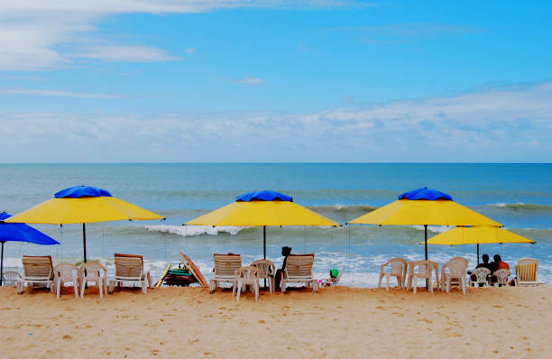 istock Beach Umbrellas and Chairs on Brazil Beach 1226579858