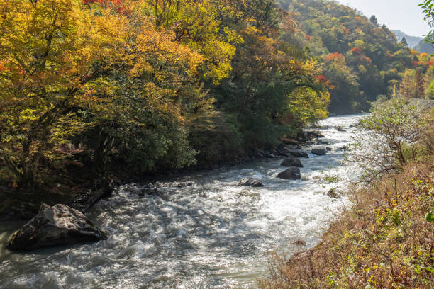 istock Autumn River at West Sichuan 1226581033