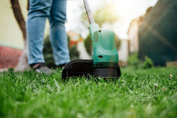 istock Man cuts grass with electric trimmer. 1226583010