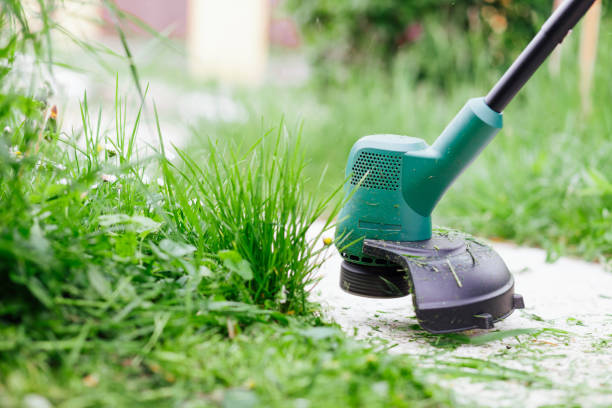 mowing high grass with electric trimmer. lawn care concept - hedge shear imagens e fotografias de stock