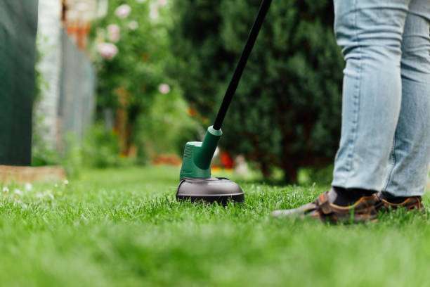 istock Man mows tall grass with an electric trimmer. Yard care concept 1226583552
