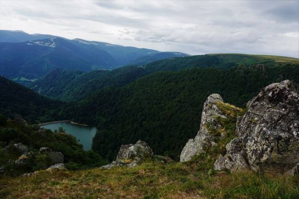 vue imprenable sur le lac schiessrothried avec le paysage vallonné des vosges - stosswihr photos et images de collection