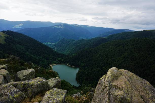 vue sur le lac schiessrothried avec de grandes roches et le paysage vallonné des vosges - stosswihr photos et images de collection