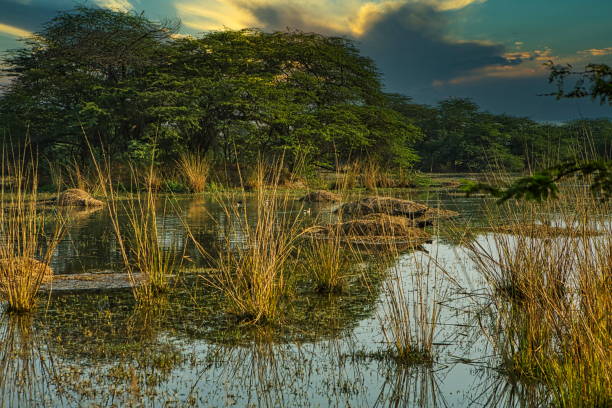 Sultanpur National Park, formerly known as Sultanpur Bird Sanctuary, is located in Gurgaon district in Haryana