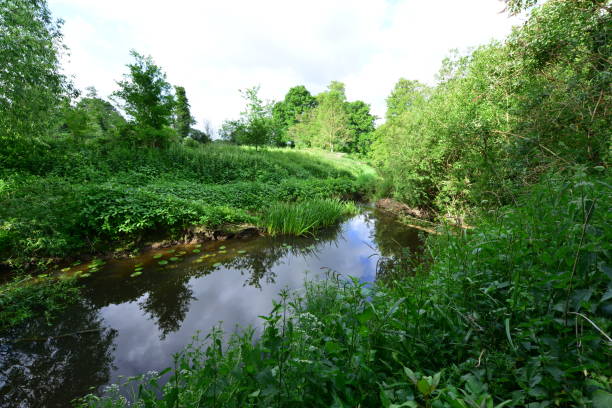istock River Mole in May in Horley in Surrey. 1226588284