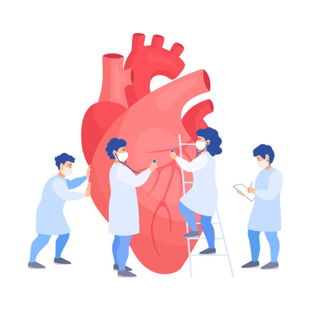 A group of doctors listens to the heart. Examination, diagnosis and treatment of cardiovascular diseases. Vector. A team of doctors examines the heart. Tiny people listen to a heartbeat and make a diagnosis. Banner on the prevention of heart attacks. Vector flat concept. Treatment and checkup of the heart. anatomy illustrations stock illustrations