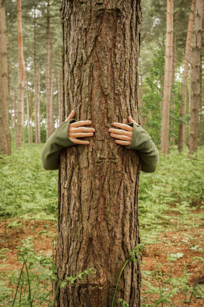 A conservationist hugging a tree in a forest with copy space