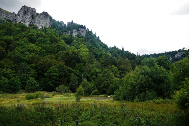 widok na skały le martinswand z rezerwatu przyrody frankenthal-missheimle w wogezach - frankenthal zdjęcia i obrazy z banku zdjęć
