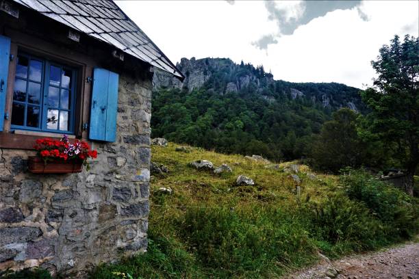 view from the ferme auberge du frankenthal to the rocks of le martinswand - frankenthal imagens e fotografias de stock