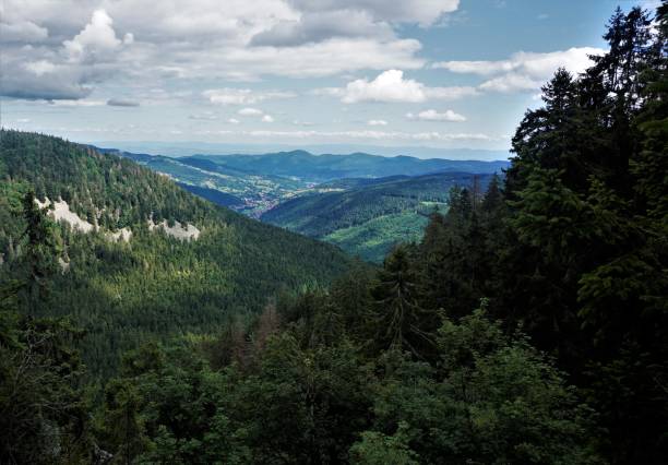 view over the hills and mountains of the ballons des vosges - frankenthal imagens e fotografias de stock