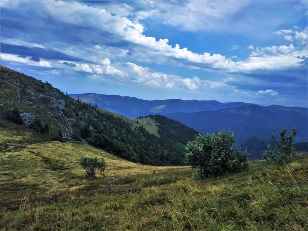 vue à couper le souffle sur de douces collines avec de belles alpes dans la région des vosges - stosswihr photos et images de collection