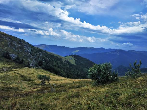 vista de tirar o fôlego sobre colinas suaves com belos alpes na região de vosges - stosswihr - fotografias e filmes do acervo