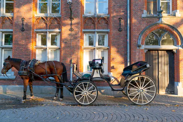 Photo of Bellfry and City Hall at Market Square in Bruges with Fiaker with brown horse waiting for tourists in popular belgian destination Brugge Tour of the center of Bruges