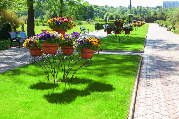 Alley with flowerpots and Footpath