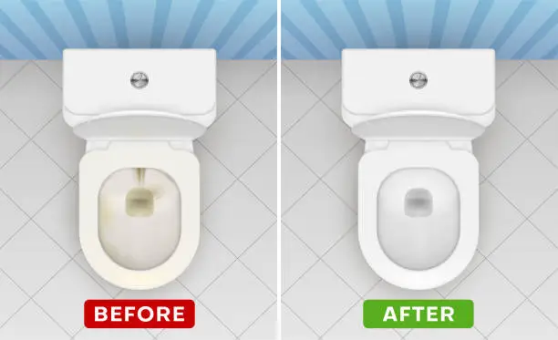 Vector illustration of WC pans before and after cleaning realistic illustration. Toilet bowl cleaner, detergent advertising.