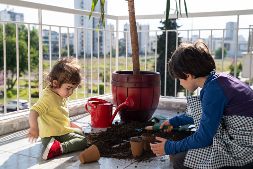 7 years old brother and 2 years old sister planting houseplant in the balcony during Covid-19 pandemic quarantine. Shot in outdoor daylight with a full frame mirrorless camera.