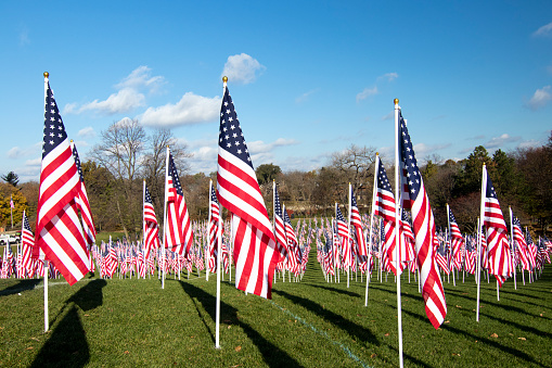 American flags commemorating those who gave their lives for their country