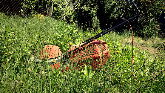 Red lawn mower in high grass in a garden
