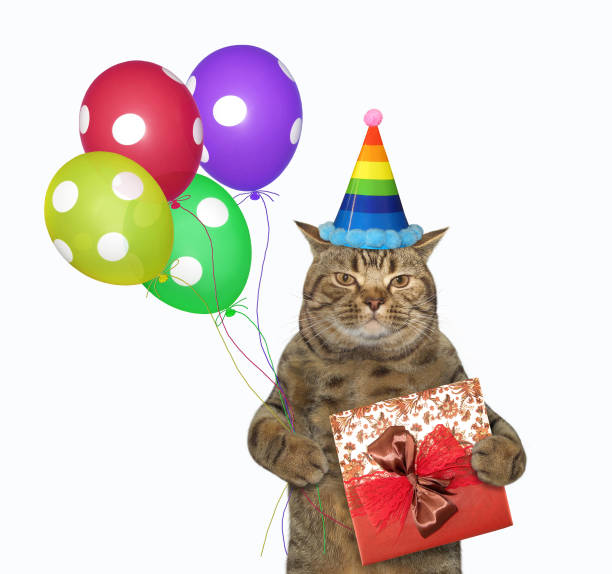 istock Cat in birthday hat holds box 2 1226615872