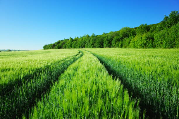 Landscape of German farm and countryside, in Baden-Wurttemberg Germany