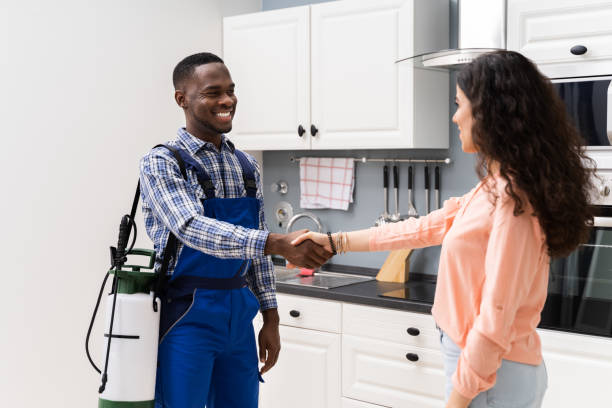 Woman And Pest Control Worker Shaking Hands Happy Woman And Young Pest Control Worker Shaking Hands To Each Other In Kitchen Room exterminator photos stock pictures, royalty-free photos & images