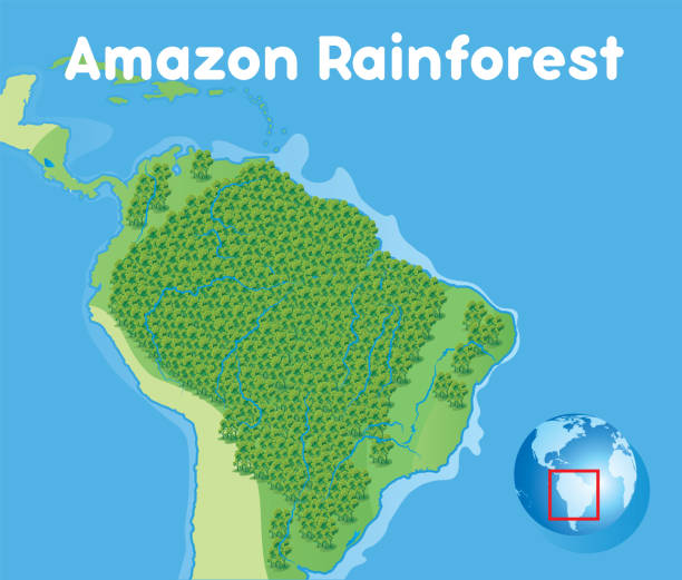 120+ Amazon Rainforest Map Stock Illustrations, Royalty-Free Vector