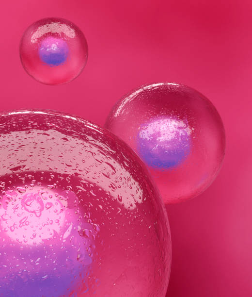 Detailed Image of Stem Cell