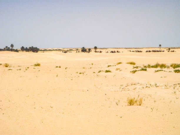 istock Douz Desert, begining of Sahara Desert, Tunisia 1226623543