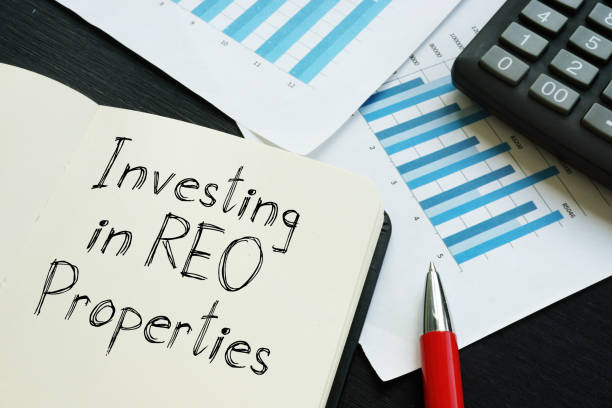 Where to Find REO Properties