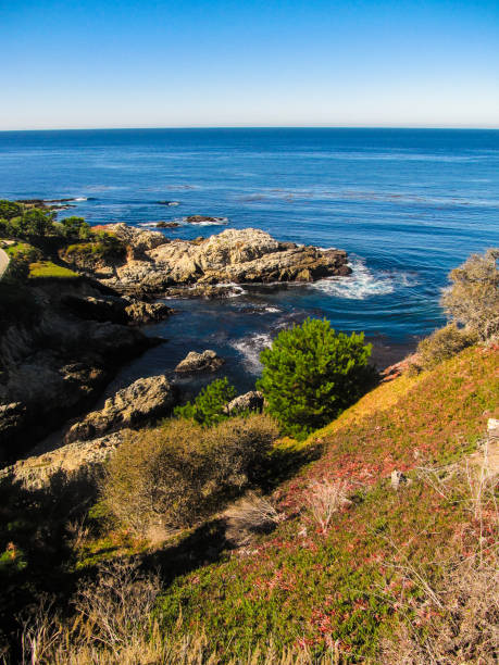 istock Landscape scenery along California US1 Coastal Highway 1226626715