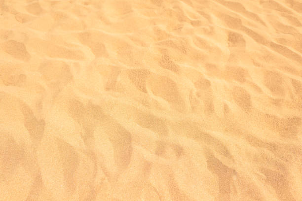 istock Yellow sand background on sunset beach. Close-up 1226628974