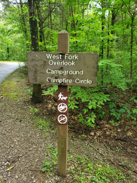 istock Campground Park Sign in Forest: 1226629906