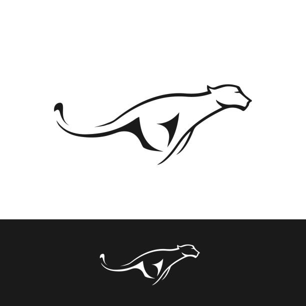 tiger/cheetah vektor illustration symbol logo. - leopard jaguar animal speed stock-grafiken, -clipart, -cartoons und -symbole