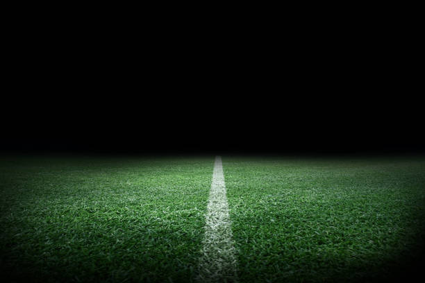 istock Soccer stadium arena with natural green grass 1226634509