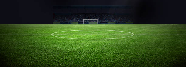 istock Soccer stadium arena with natural green grass 1226634570