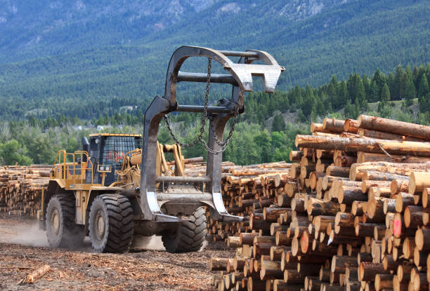 istock Heavy Machine Working at Lumber Mill in Logging Industry 1226634597