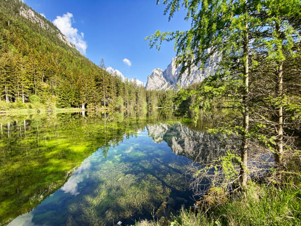 istock Green Lake Austria 1226636945