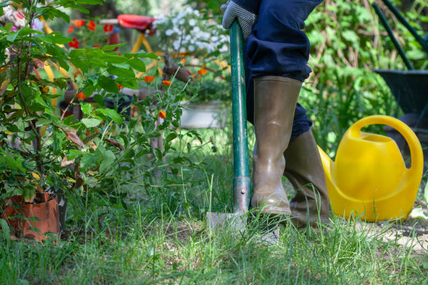 istock Gardener digging in a garden with a spade 1226639986