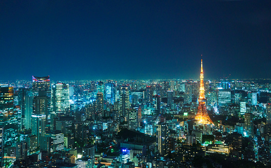 Tokyo cityscape with illuminated Tokyo Tower at night. Photo taken with professional 42 megapixel camera.