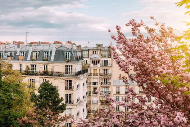 Parisian apartment building