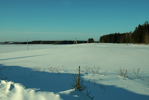 Winter frosty Russian landscape, field, forest on the horizon, clear blue sunset sky.