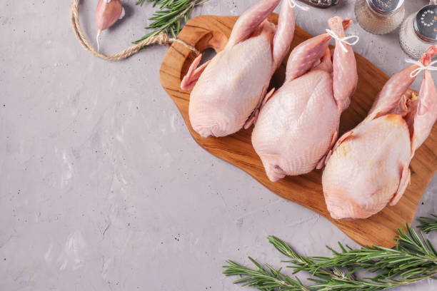 istock Three fresh raw organic quails on wooden board on a gray background, Copy space, Top view 1226654174