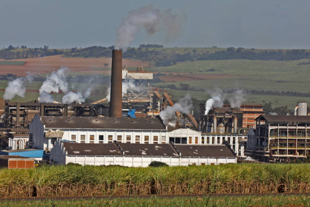 istock sugar cane mills, ethanol producer 1226655801
